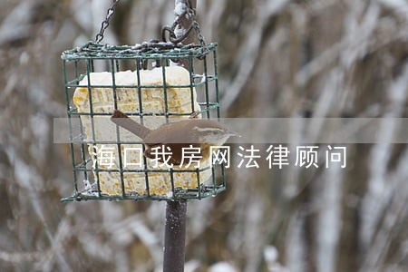 海口我房网法律顾问 海口我房网法律顾问