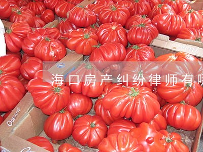海口房产纠纷律师有哪些 海口房产纠纷律师有哪些