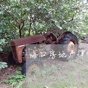 海口房地产律师介绍