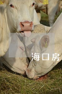 海口房地产律师联系方式 海口房地产律师联系方式