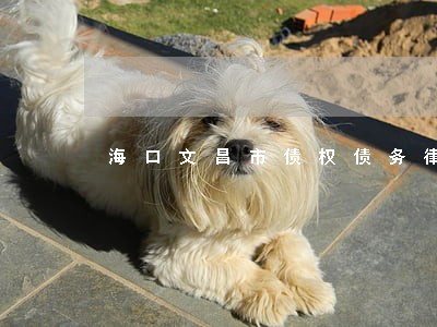 海口文昌市债权债务律师收费标准 海口文昌市债权债务律师收费标准