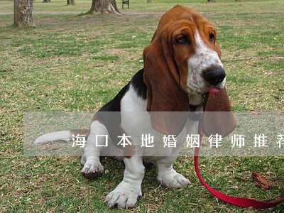 海口本地婚姻律师推荐 海口本地婚姻律师推荐