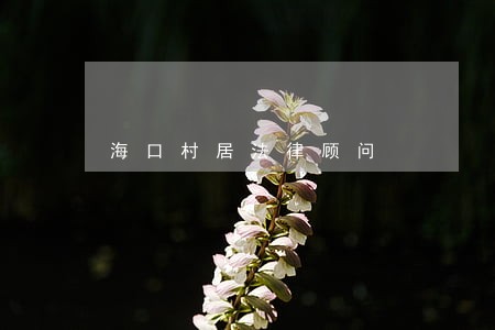 海口村居法律顾问 海口村居法律顾问