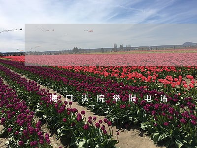 海口法院举报电话