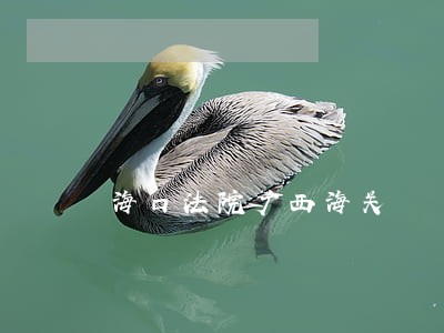 海口法院广西海关 海口法院广西海关