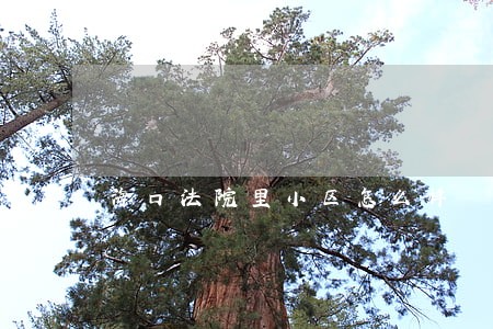 海口法院里小区怎么样 海口法院里小区怎么样