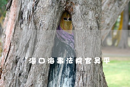 海口海事法院官吴平 海口海事法院官吴平