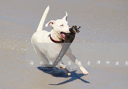 海口澄迈区债务律师业务