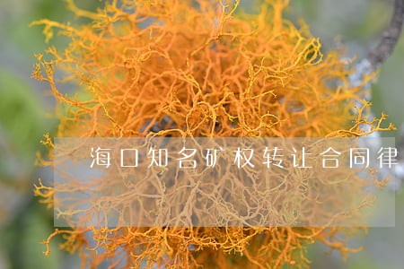 海口知名矿权转让合同律师费用 海口知名矿权转让合同律师费用