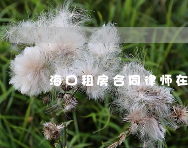 海口租房合同律师在线