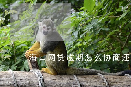 海口网贷逾期怎么协商还款