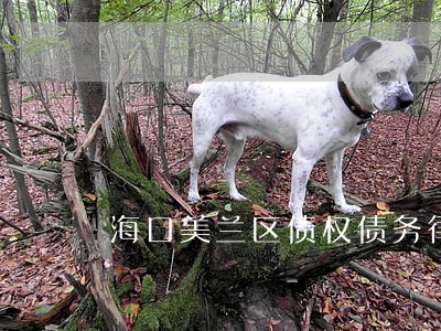 海口美兰区债权债务律师业务 海口美兰区债权债务律师业务