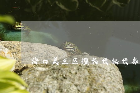 海口美兰区擅长债权债务律师 海口美兰区擅长债权债务律师
