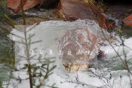 海口美兰区法院李瑛 海口美兰区法院李瑛