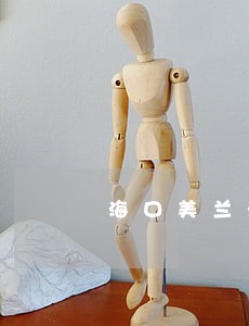 海口美兰法院林锋