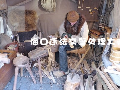 海口违法交警处理大队电话