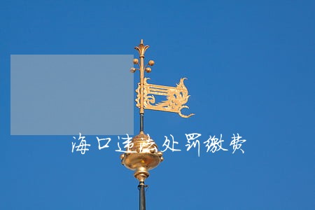海口违法处罚缴费