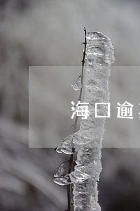 海口逾期买车 海口逾期买车