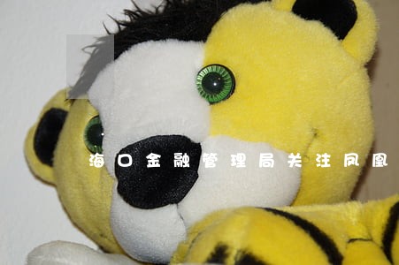 海口金融管理局关注凤凰金融逾期 海口金融管理局关注凤凰金融逾期