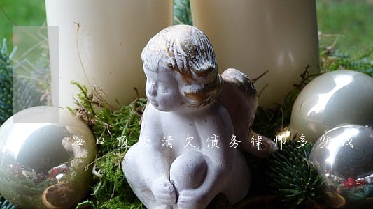 海口顶级清欠债务律师多少钱 海口顶级清欠债务律师多少钱