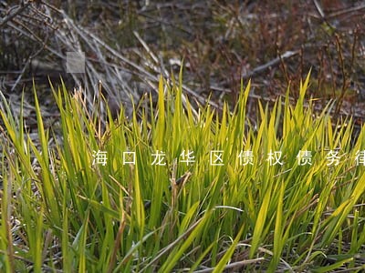 海口龙华区债权债务律师费用多少 海口龙华区债权债务律师费用多少