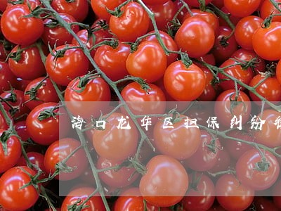 海口龙华区担保纠纷律师代理费 海口龙华区担保纠纷律师代理费