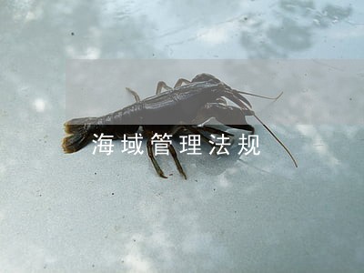 海域管理法规 海域管理法规
