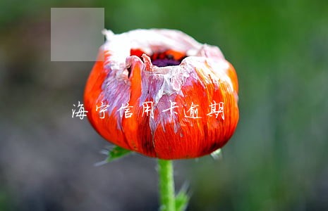 海宁信用卡逾期 海宁信用卡逾期