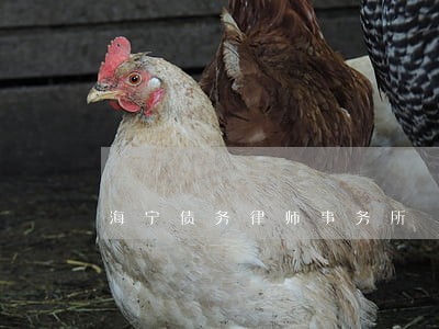 海宁债务律师事务所 海宁债务律师事务所