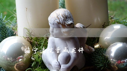 海宁法院曾威案件 海宁法院曾威案件