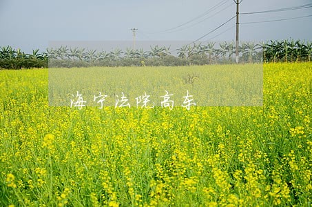 海宁法院高东 海宁法院高东