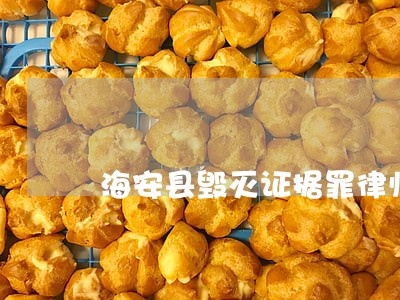 海安县毁灭证据罪律师推荐 海安县毁灭证据罪律师推荐
