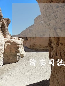 海安司法拍卖网站 海安司法拍卖网站