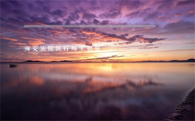海安法院执行局王德俊