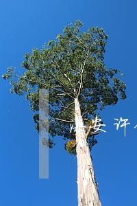 海安许俊律师 海安许俊律师