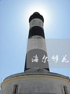 海尔够花逾期3天会怎样