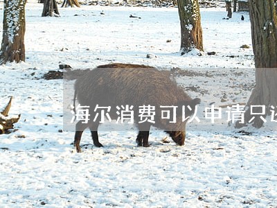 海尔消费可以申请只还本金吗 海尔消费可以申请只还本金吗