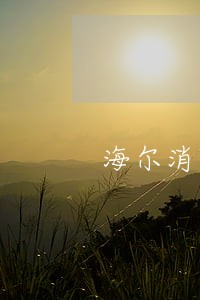 海尔消费逾期1天是黑户 海尔消费逾期1天是黑户