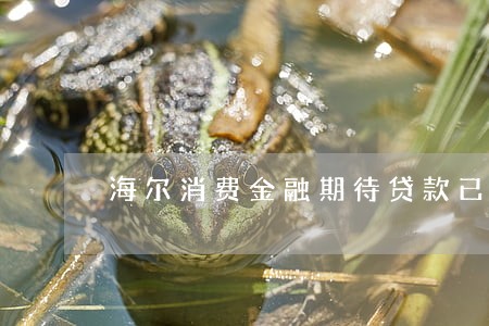 海尔消费金融期待贷款已逾期 海尔消费金融期待贷款已逾期