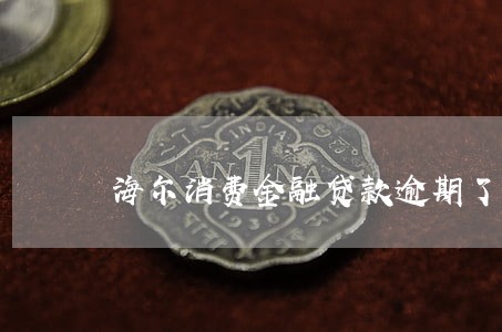 海尔消费金融贷款逾期了 海尔消费金融贷款逾期了