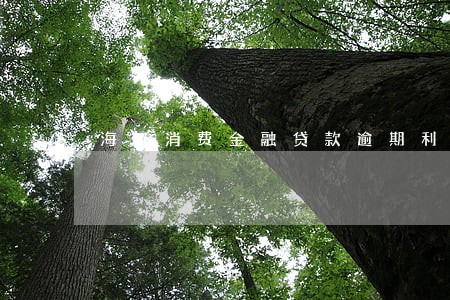 海尔消费金融贷款逾期利率 海尔消费金融贷款逾期利率