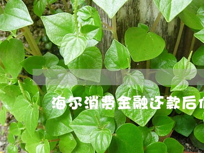 海尔消费金融还款后仍逾期 海尔消费金融还款后仍逾期