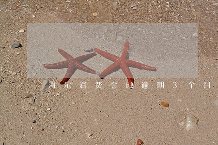 海尔消费金融逾期3个月 海尔消费金融逾期3个月