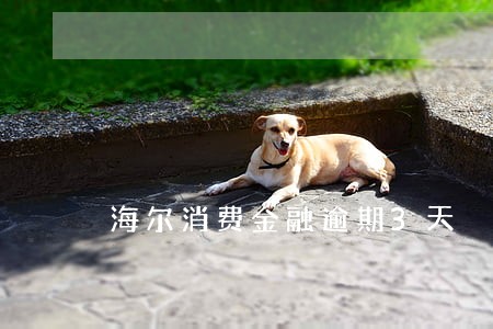 海尔消费金融逾期3天 海尔消费金融逾期3天