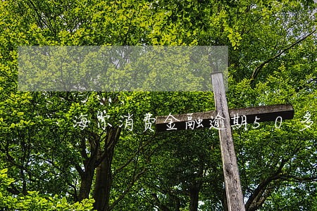 海尔消费金融逾期50多 海尔消费金融逾期50多
