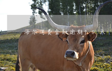 海尔消费金融逾期90天 海尔消费金融逾期90天