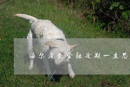 海尔消费金融逾期一直恐吓 海尔消费金融逾期一直恐吓