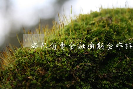 海尔消费金融逾期会咋样 海尔消费金融逾期会咋样