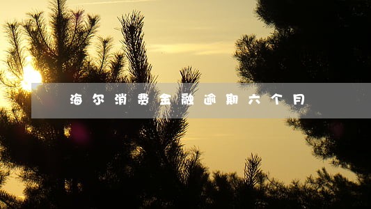 海尔消费金融逾期六个月 海尔消费金融逾期六个月