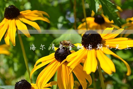 海尔消费金融逾期几天上征信6 海尔消费金融逾期几天上征信6